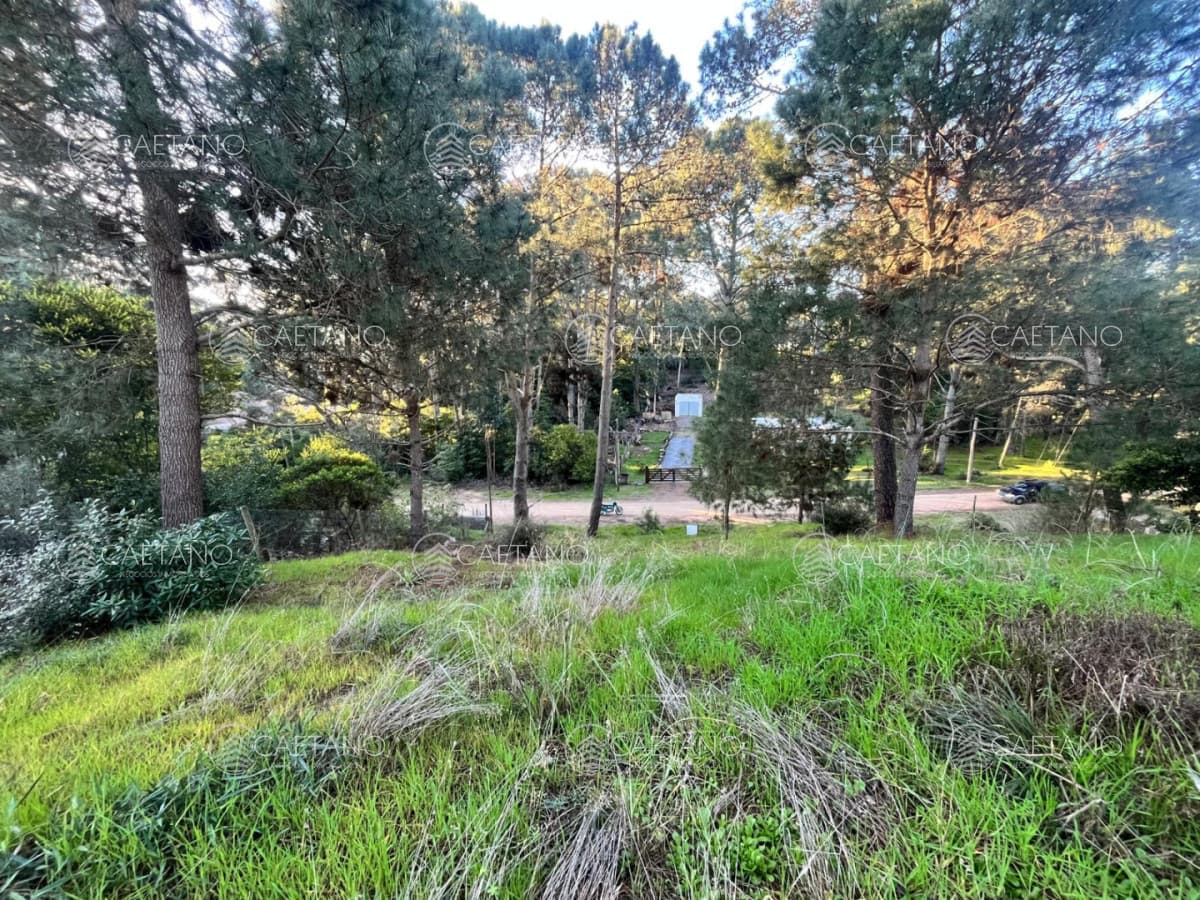 Terreno en venta en Club del Lago, Punta Ballena — foto 3