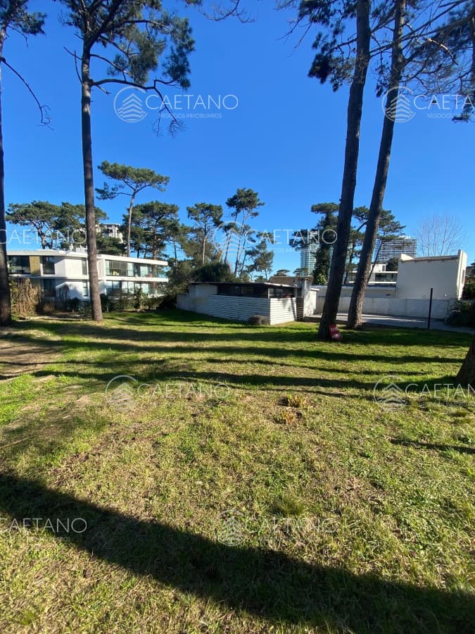 Oportunidad venta terreno Punta del Este con casa para reciclar — foto 3