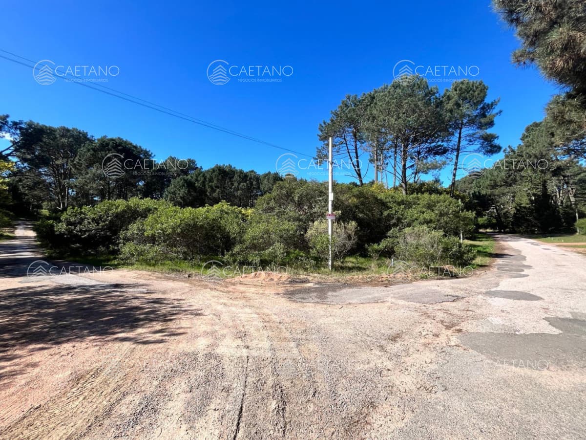 Terreno en venta en Club Del Lago, Punta Ballena