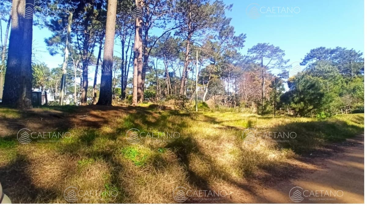 Terreno venta, Montoya, La Barra.