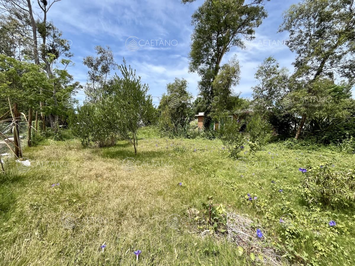 Terreno en venta El Tesoro — foto 2