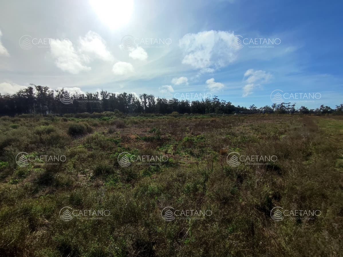 venta terreno la barra — foto 3