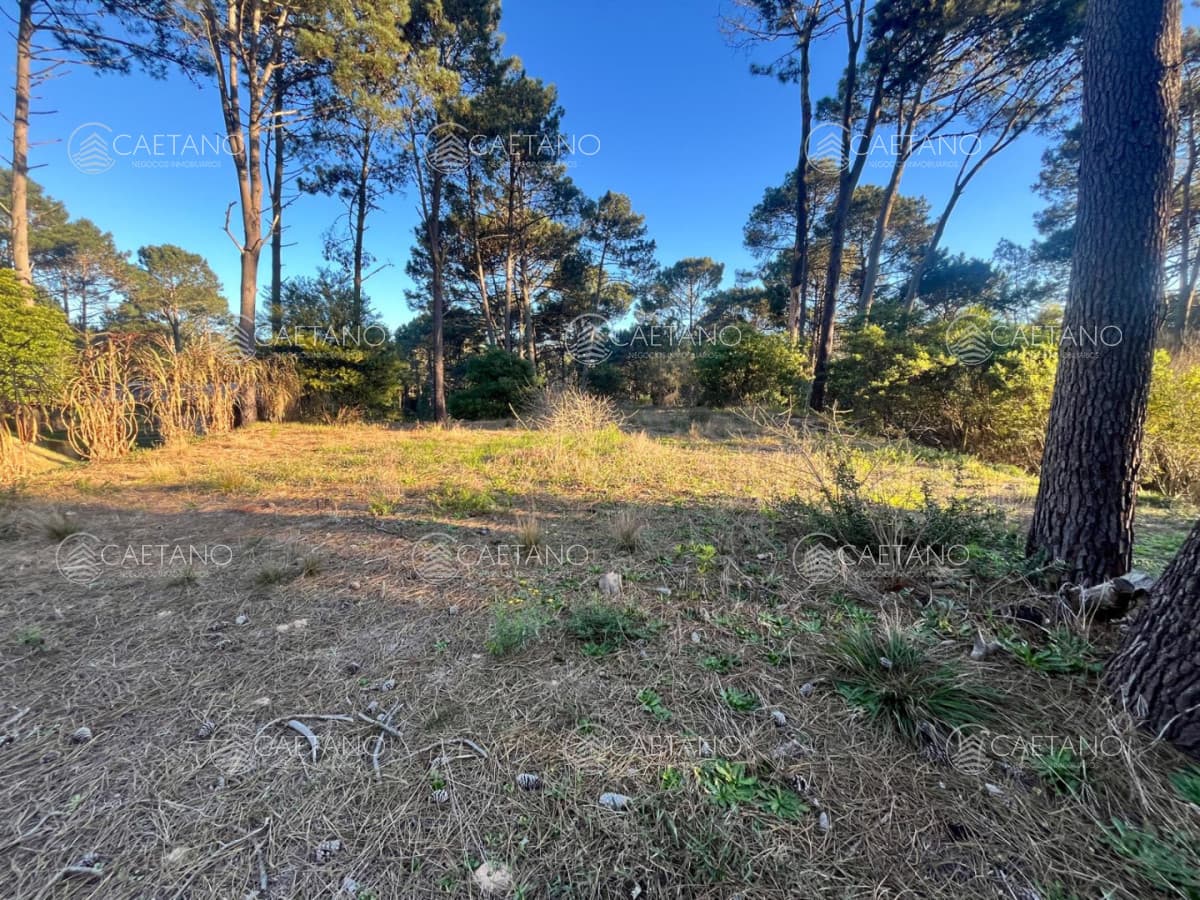 Terreno en venta en Club del Lago, Punta Ballena — foto 2