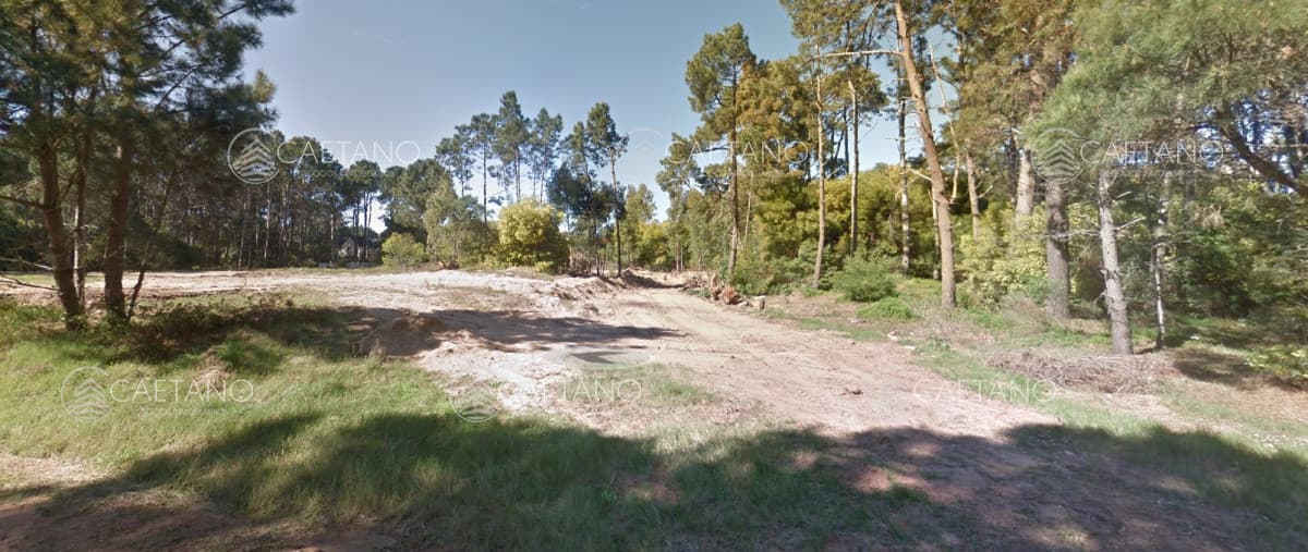 Terreno en venta de 1200m2 en Burnett