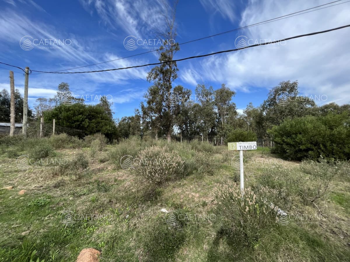 Venta lote en la barra — foto 2