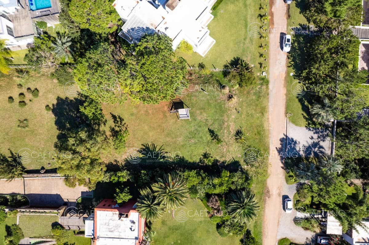 Venta terreno en Punta Ballena - — foto 3