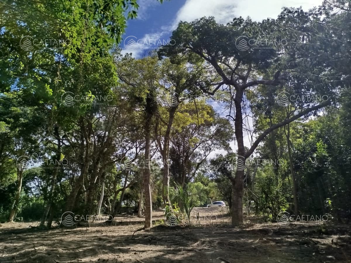 Terreno en venta en Las Grutas — foto 2