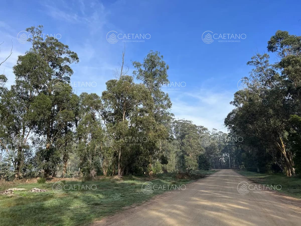 Venta terreno Maldonado — foto 3