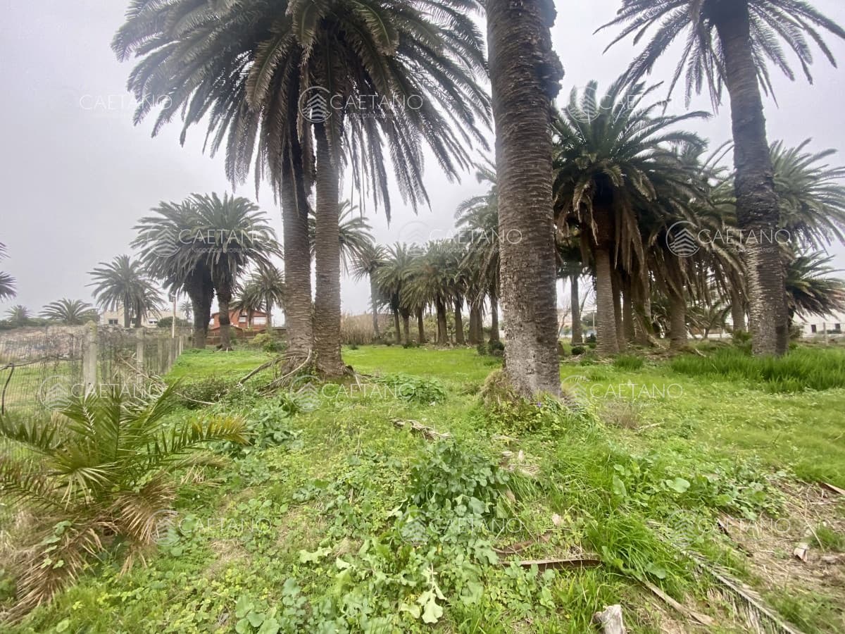 Terreno en venta Península de Punta del Este