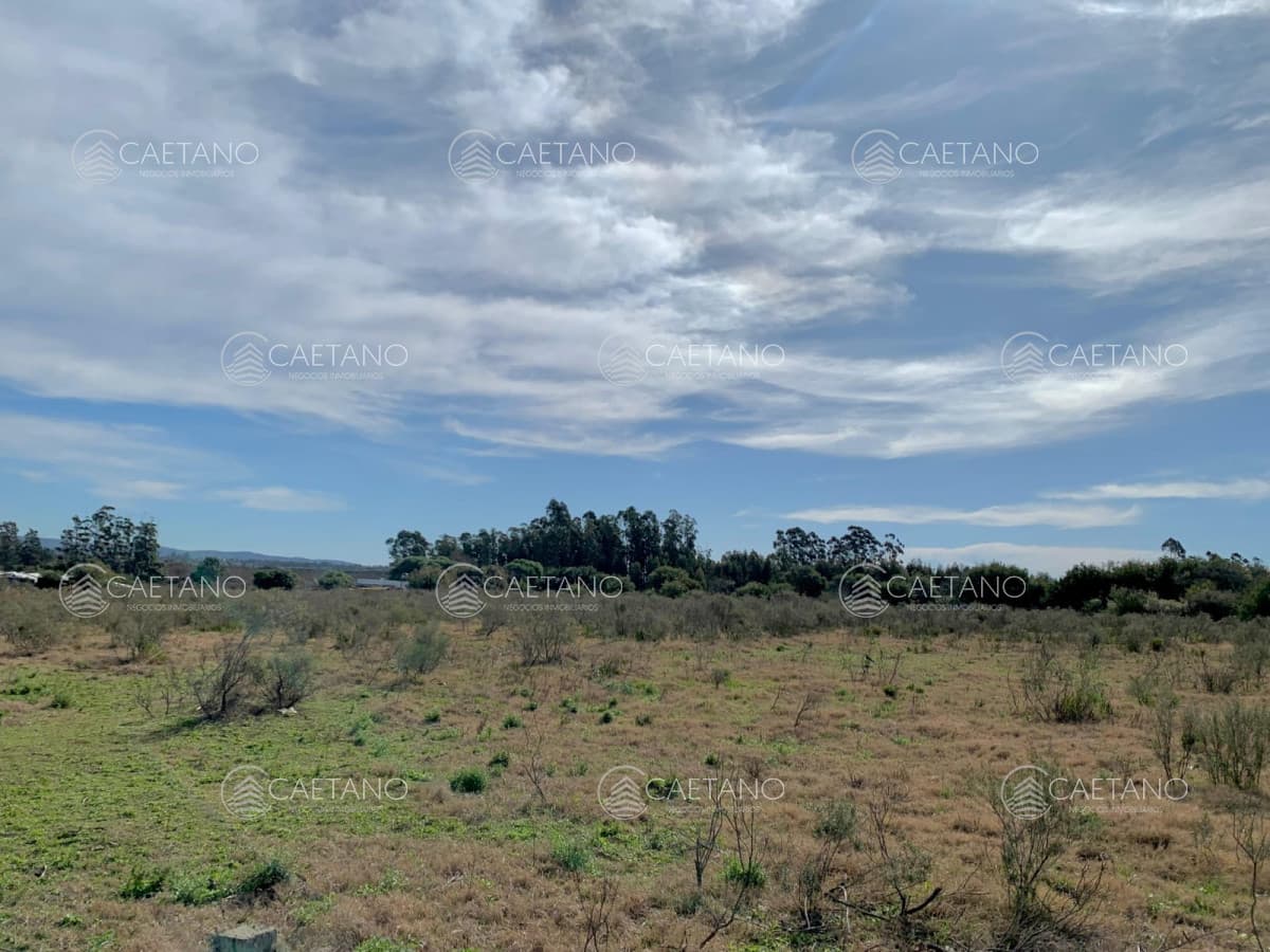 Venta Terreno en Maldonado, San Carlos — foto 3