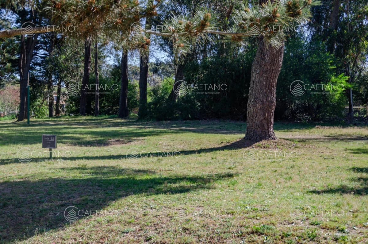 Venta lote en Veramansa, Playa Mansa