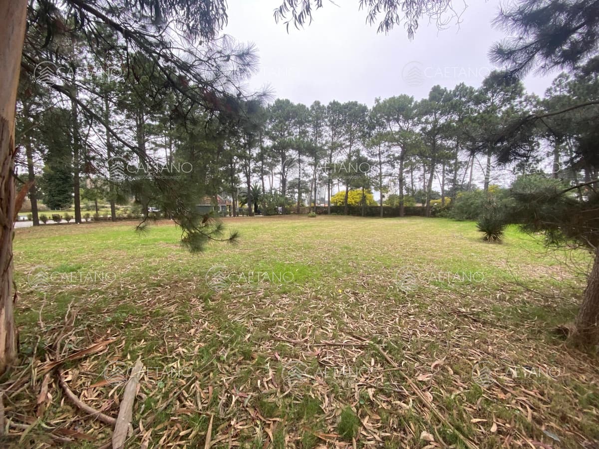 Venta Lote en Barrio Privado Residence — foto 2