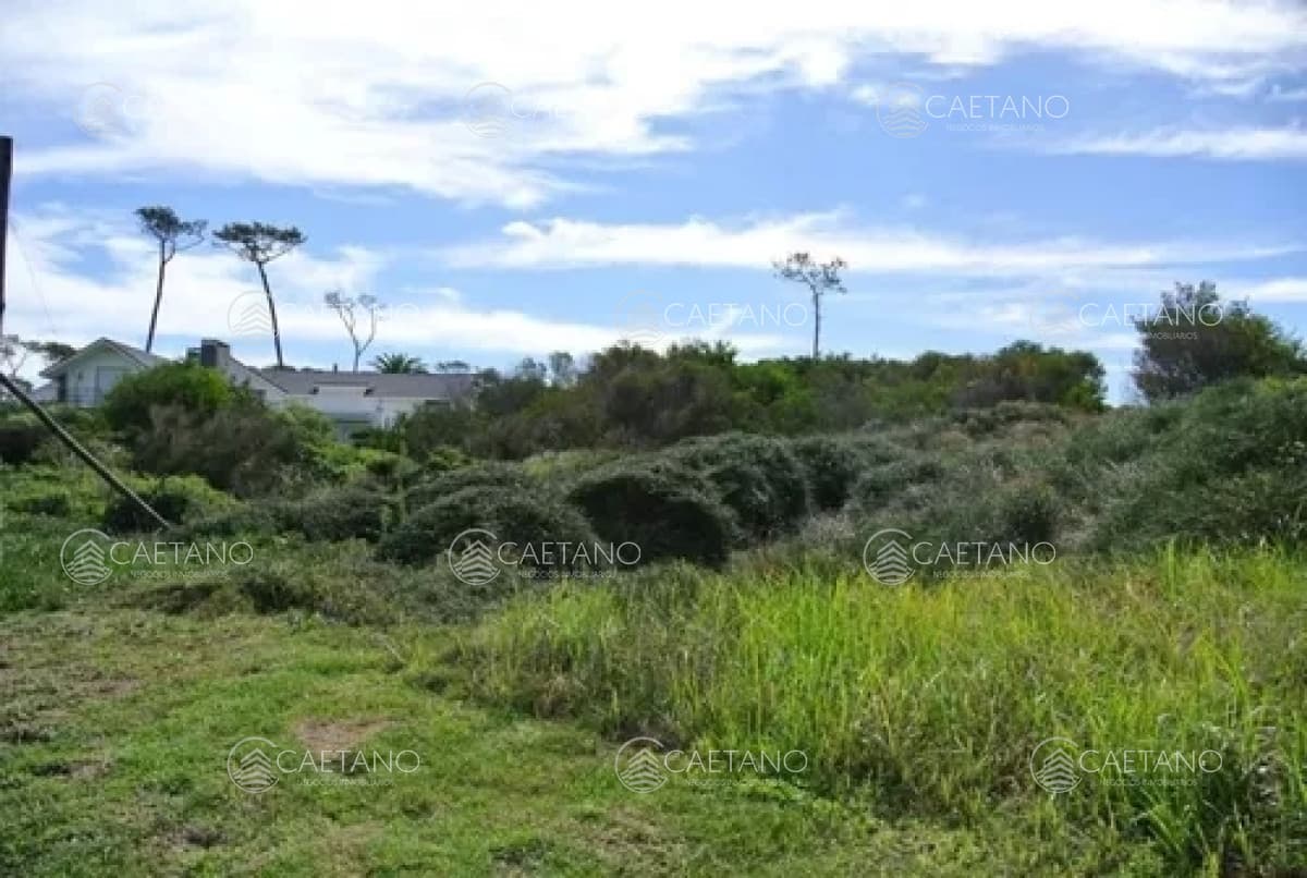 Venta terreno primera línea playa manas Punta del Este — foto 2