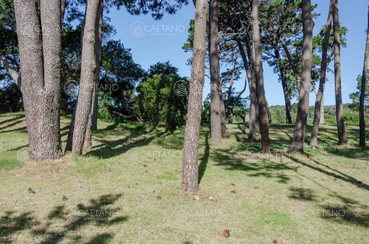 Venta lote en Veramansa, Playa Mansa — foto 3