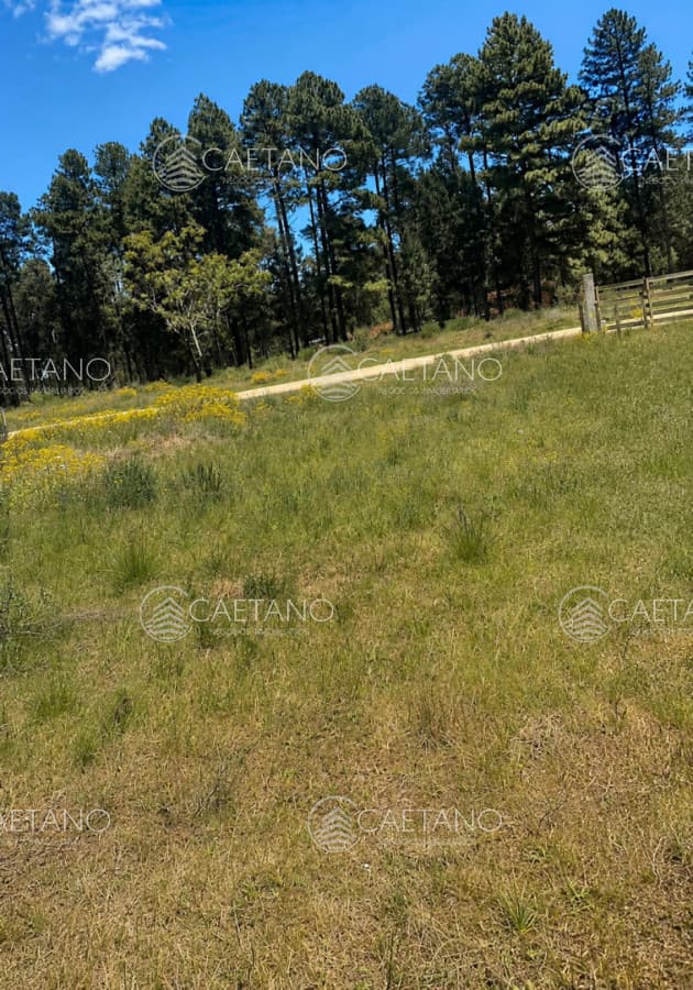 VENTA TERRENO MALDONADO — foto 3
