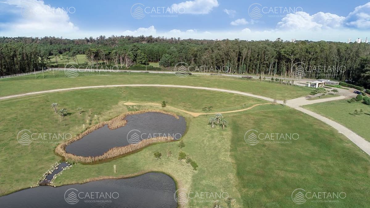 Venta terrenos zona Edificios Caracoles Ciudad Jardin — foto 2