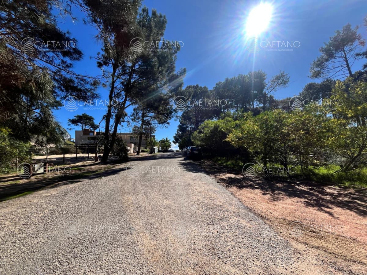 Terreno en venta en Club Del Lago, Punta Ballena — foto 2