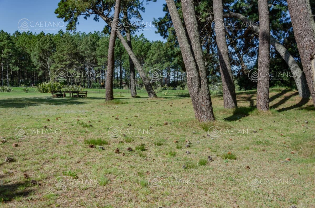 Venta lote en Veramansa, Playa Mansa — foto 2