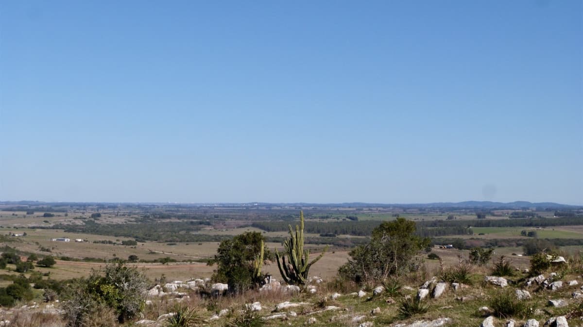 Terreno en venta - Ruta 39