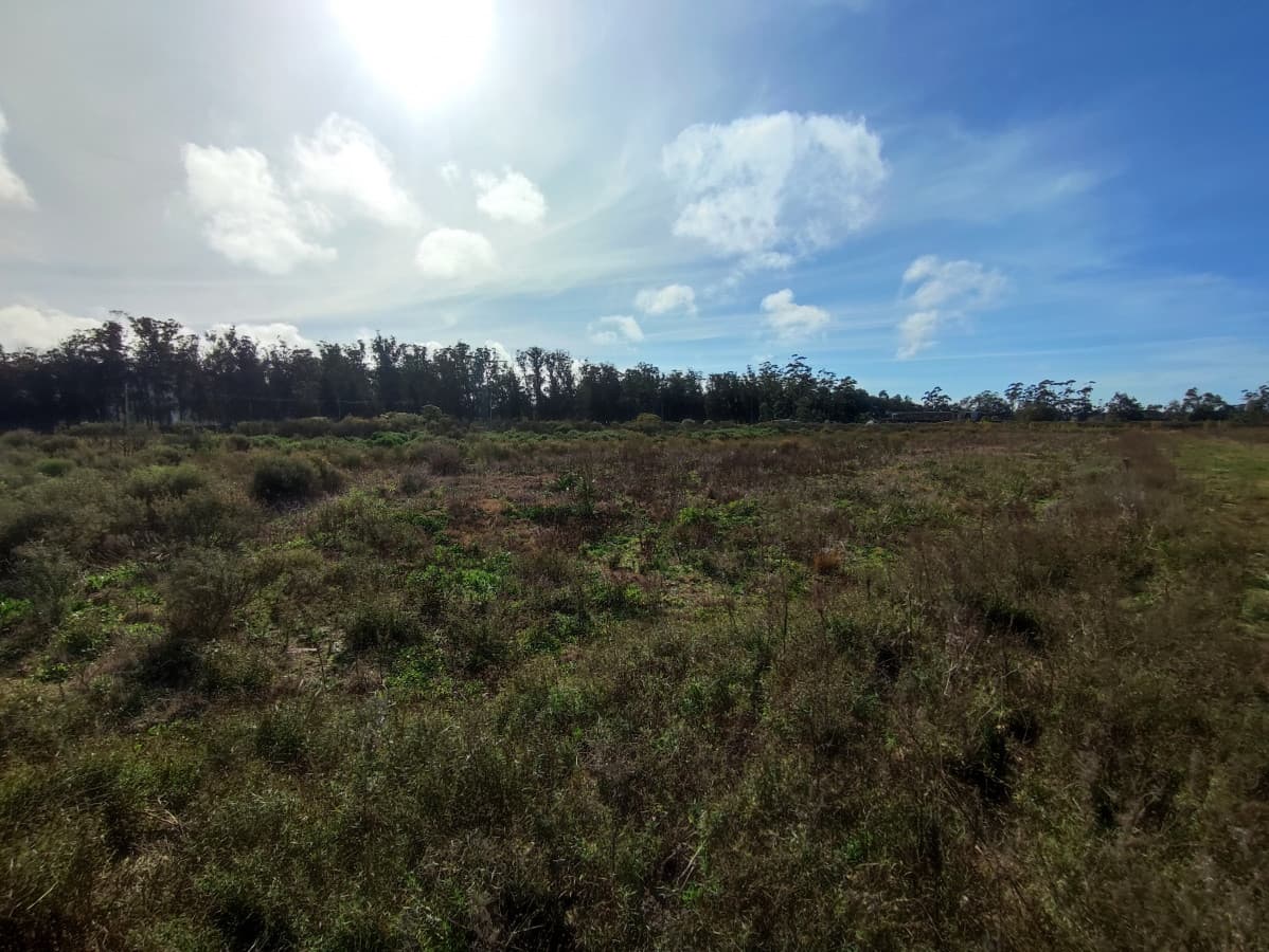Venta terreno camino Eguzquiza Maldonado