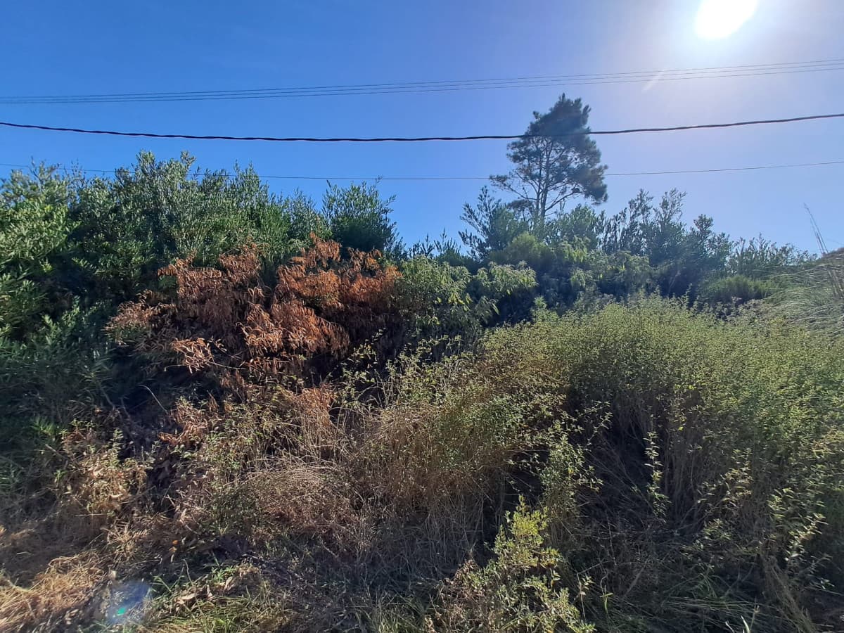 Venta de lote. ¡ Oportunidad con vista al Mar !