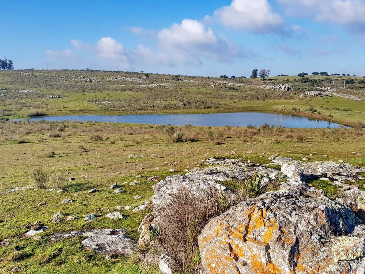 Vendo chacras en Ruta 9, entre ruta 12 y Pan de Azucar, Maldonado. FINANCIO.