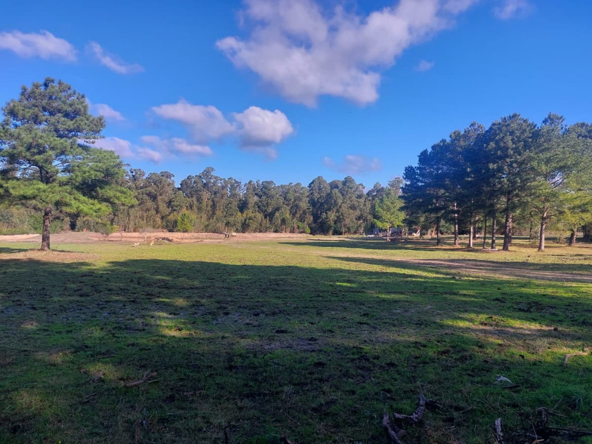 Terreno en alquiler en Canelones